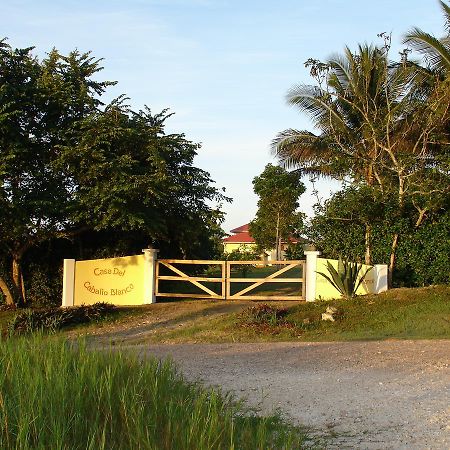 Casa Del Caballo Blanco سان إجناسيو المظهر الخارجي الصورة