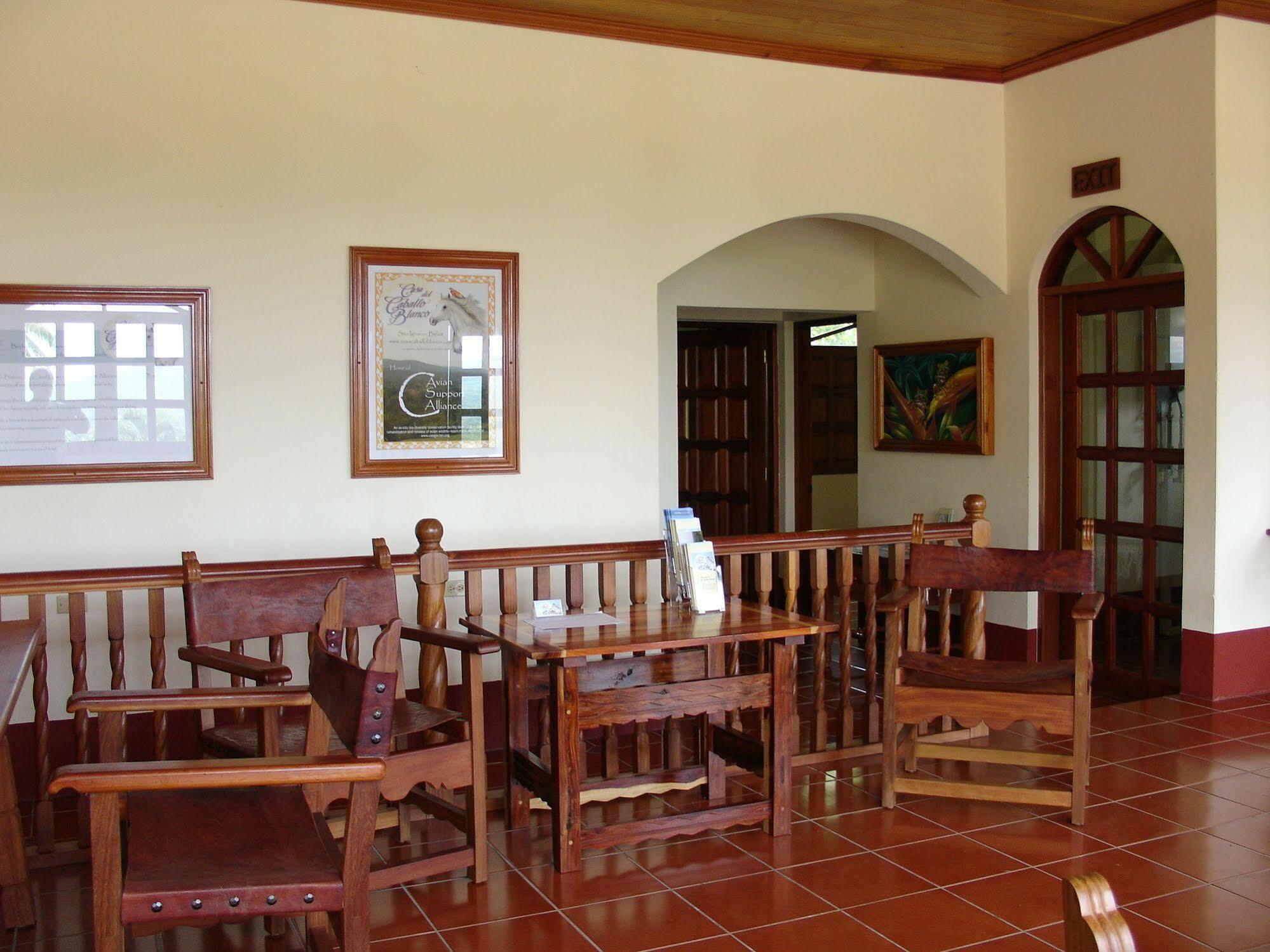 Casa Del Caballo Blanco سان إجناسيو المظهر الخارجي الصورة