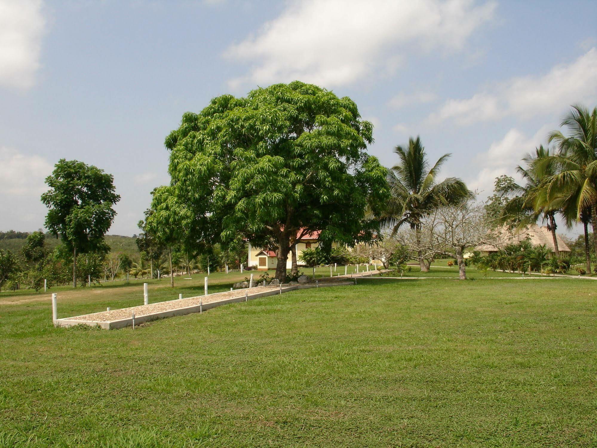 Casa Del Caballo Blanco سان إجناسيو المظهر الخارجي الصورة
