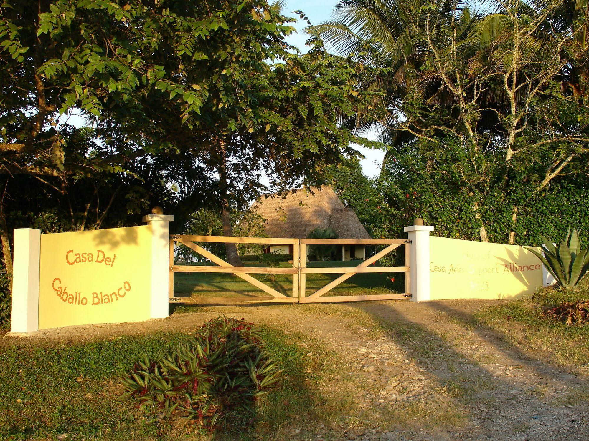 Casa Del Caballo Blanco سان إجناسيو المظهر الخارجي الصورة